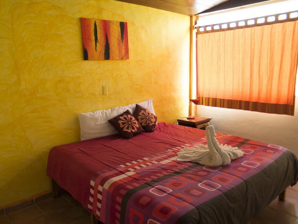 Hotel El Hormiguero Playa del Carmen Phòng bức ảnh