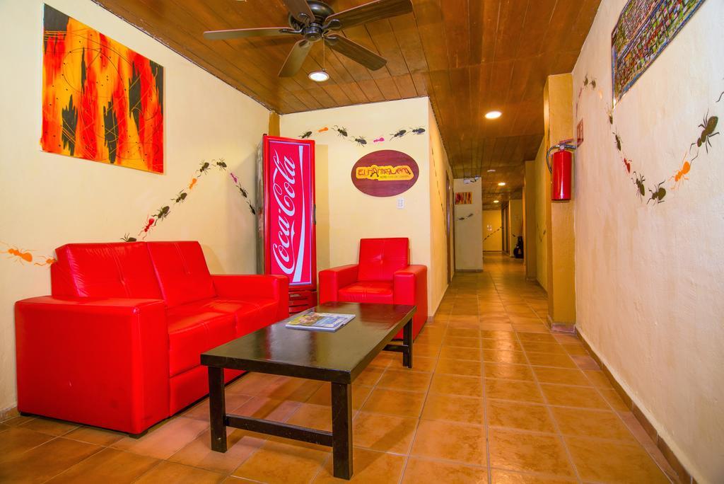 Hotel El Hormiguero Playa del Carmen Ngoại thất bức ảnh