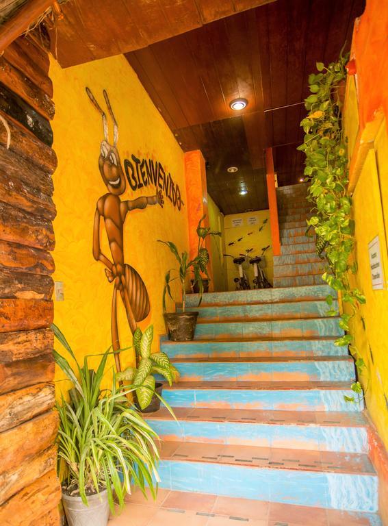 Hotel El Hormiguero Playa del Carmen Ngoại thất bức ảnh
